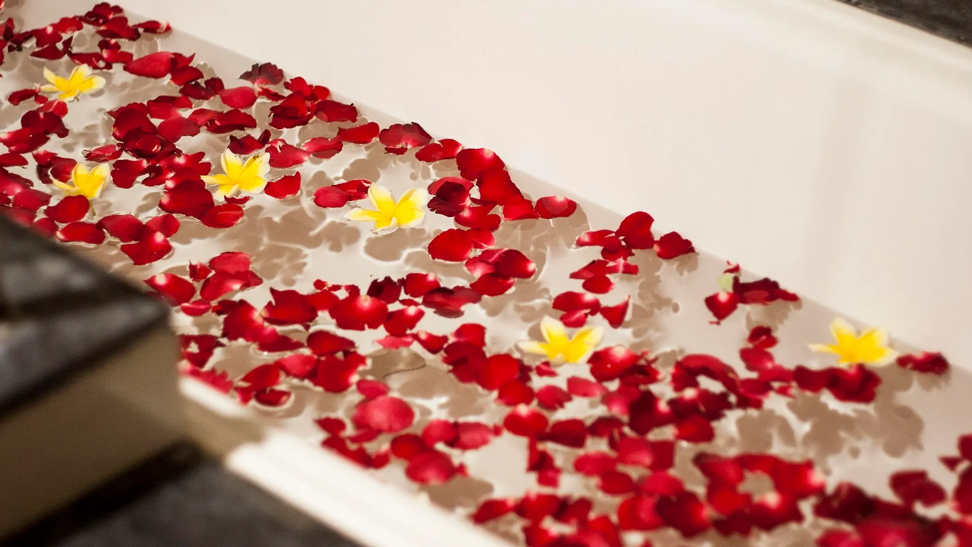 **** Resort Swiss-Belhotel Rainforest Kuta Lombok Indonesië